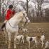 Longreen Foxhounds at Oâ€™Donnell Bend, AR